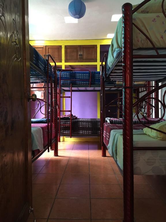 Hostal La Isla San Cristóbal de Las Casas エクステリア 写真