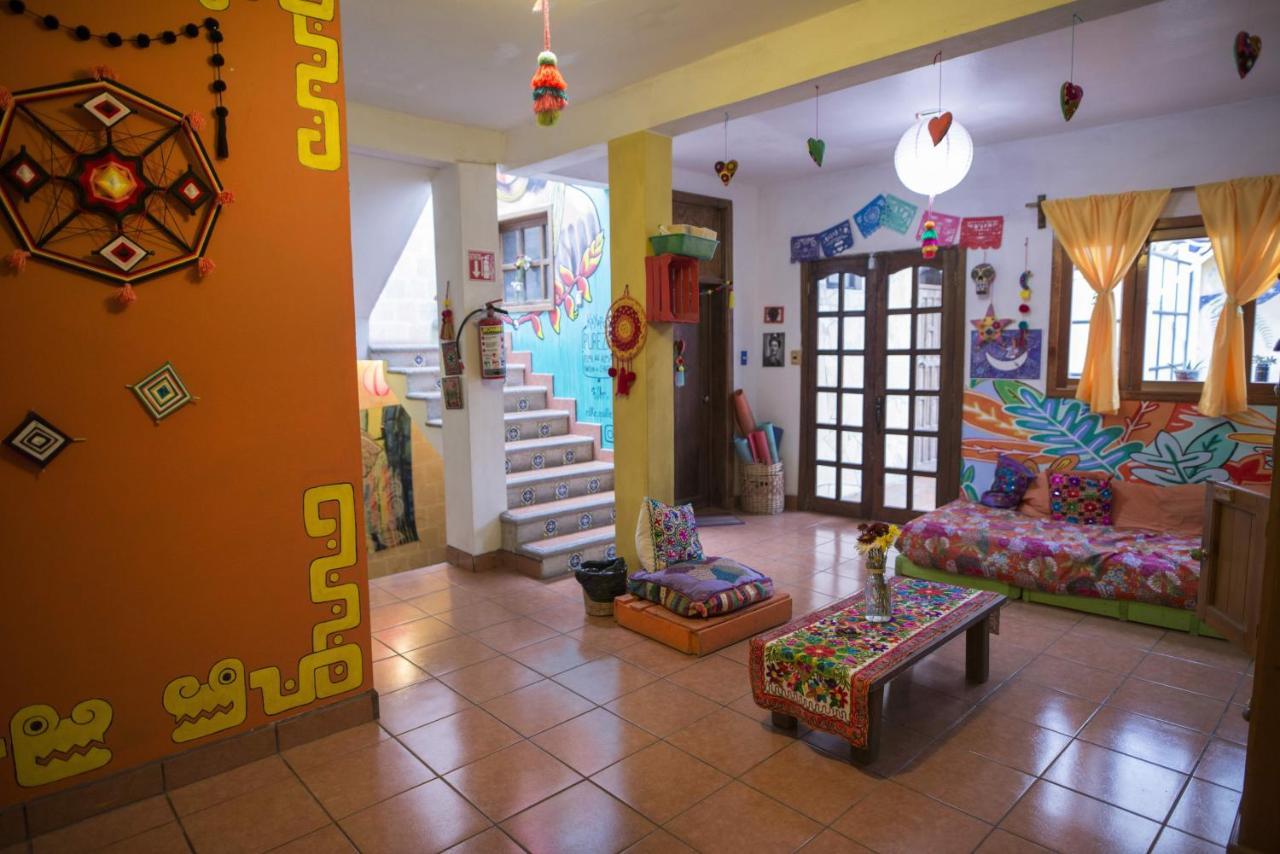 Hostal La Isla San Cristóbal de Las Casas エクステリア 写真